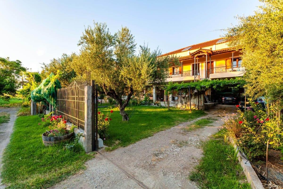 Nelly'S Seaview Retreat - Summer Cozy Getaway Apartment Zacharo Exterior photo